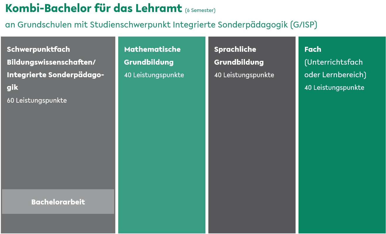 Kombi-Bachelor für das Lehramt an Grundschulen mit Studienschwerpunkt Integrierte Sonderpädagogik